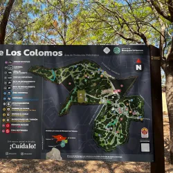 Bosque Los Colomos - Zapopan
