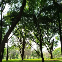 Parque de la Solidaridad - Zapopan