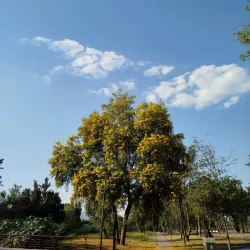 Parque de la Solidaridad - Zapopan