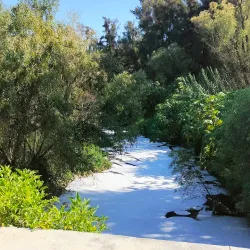 Parque de la Solidaridad - Zapopan
