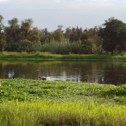 Parque de la Solidaridad - Zapopan
