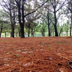 Parque Metropolitano de Zapopan - Zapopan