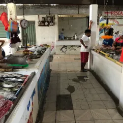 Mercado Municipal de Zihuatanejo - Zihuatanejo
