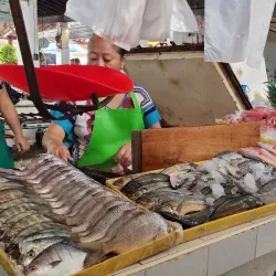 Mercado Municipal de Zihuatanejo - Zihuatanejo