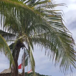 Playa La Ropa - Zihuatanejo