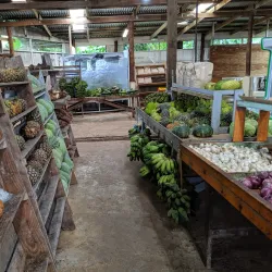 Kolonia Market - Kolonia