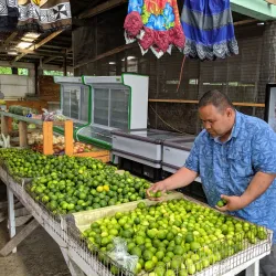 Kolonia Market - Kolonia