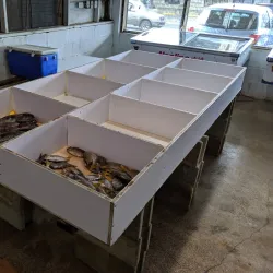 Kolonia Market - Kolonia