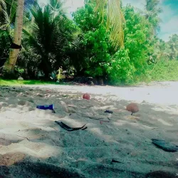 Mokil Atoll - Kolonia