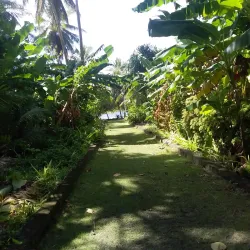 Mokil Atoll - Kolonia