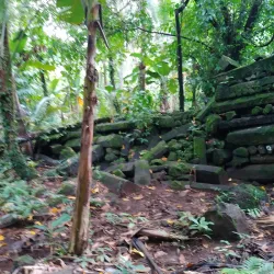 Pohnpei Cultural and Historical Museum - Kolonia
