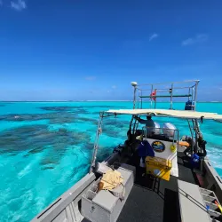 Pohnpei Island Diving and Snorkeling - Kolonia