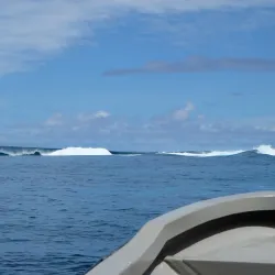 Pohnpei Island Diving and Snorkeling - Kolonia