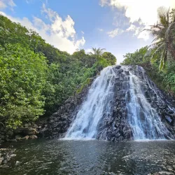 Pohnpei Island Diving and Snorkeling - Kolonia