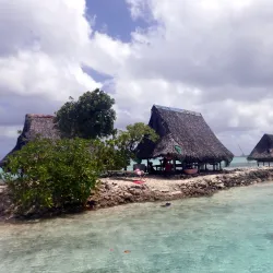 Pohnpei Island Diving and Snorkeling - Kolonia