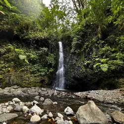 Pohnpei Island Nature Trails - Kolonia