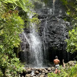 Pohnpei Island Nature Trails - Kolonia