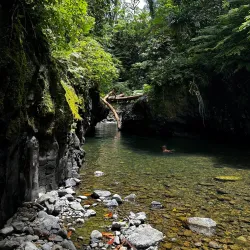 Pohnpei Island Nature Trails - Kolonia