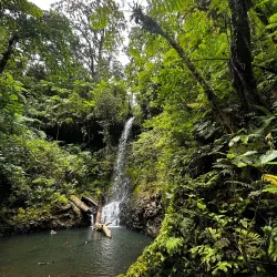 Pohnpei Island Nature Trails - Kolonia
