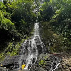 Pohnpei Island Nature Trails - Kolonia