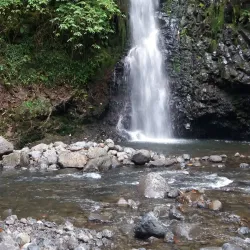 Pohnpei Island Nature Trails - Kolonia