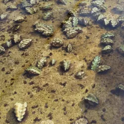 Lelu Village - Kosrae