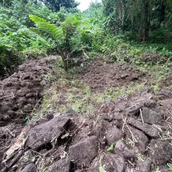 Pilyu Conservation Area - Kosrae
