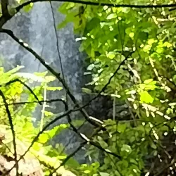 Tofol Waterfall - Kosrae