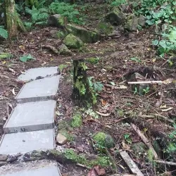 Tofol Waterfall - Kosrae