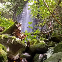 Tofol Waterfall - Kosrae