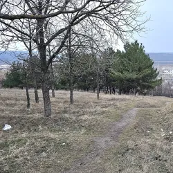 Anenii Noi Central Park - Anenii Noi