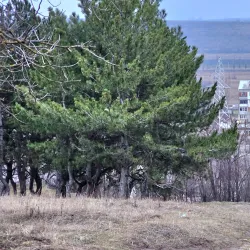 Anenii Noi Central Park - Anenii Noi