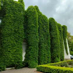 Codrii Nature Reserve - Anenii Noi