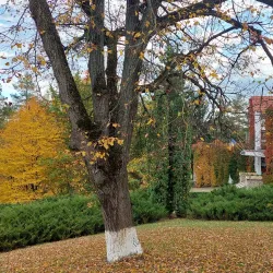 Codrii Nature Reserve - Anenii Noi