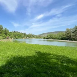 Codrii Nature Reserve - Anenii Noi