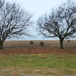 Historical Village of Bulboaca - Anenii Noi