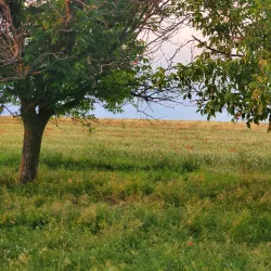 Historical Village of Bulboaca - Anenii Noi