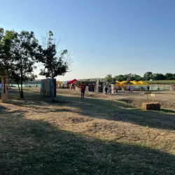 Local Folk Festivals - Anenii Noi