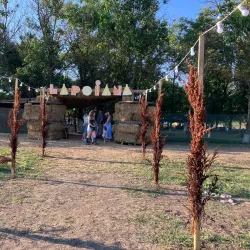 Local Folk Festivals - Anenii Noi