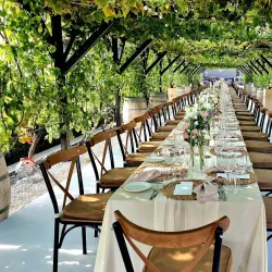 Mimi Castle - Anenii Noi