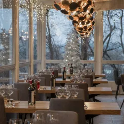 Vineyards of Anenii Noi - Anenii Noi