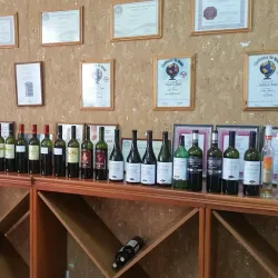 Vineyards of Anenii Noi - Anenii Noi