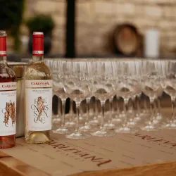 Vineyards of Anenii Noi - Anenii Noi