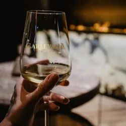 Vineyards of Anenii Noi - Anenii Noi