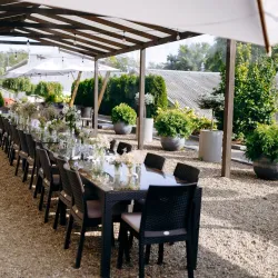 Vineyards of Anenii Noi - Anenii Noi