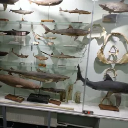 Balti History and Ethnography Museum - Balti