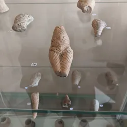 Balti History and Ethnography Museum - Balti