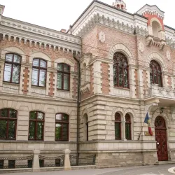 Museum of Fine Arts - Balti