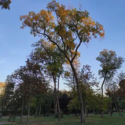 Victory Park - Balti