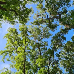 Victory Park - Balti